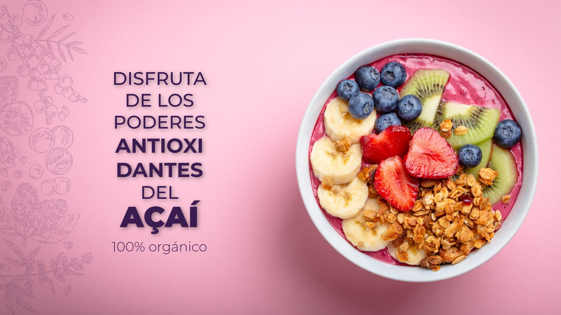 Açaí Antioxidantes