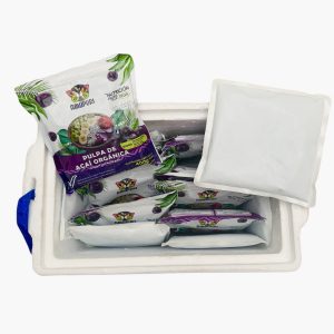 Kit viajero pulpas de açaí (20 litros)